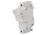 Separator cu fuzibil pentru șină DIN 100A 690VAC 22x58mm