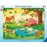 Puzzle Tip Rama Animale In Natura, 42 Piese, Ravensburger