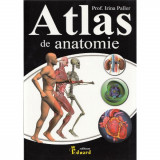 Atlas de anatomie - Irina Paller, Eduard