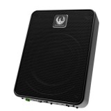Subwoofer activ ultra compact ZB8P Phoenix Gold, 8 inch, 300W RMS, max 600W CarStore Technology