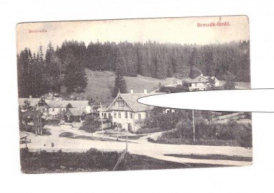 CP Boresc - Vila Strul, pana in 1918, necirculata, stare buna foto