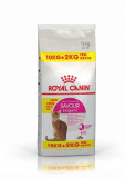 Royal Canin Exigent Savour Adult hrana uscata pisica, apetit capricios, 10+2 kg