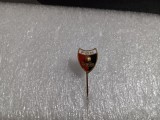 Insigna FCM Resita