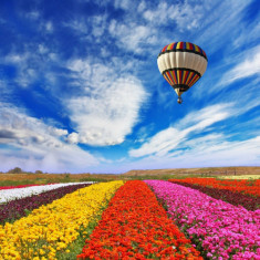 Fototapet autocolant Balon peste camp de flori, 300 x 200 cm