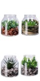 Cumpara ieftin Set 4 plante suculente artificiale in borcan 14 x 16 cm