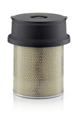 MANN-FILTER C 29 1219/1 Filtru aer foto
