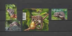 SLOVENIA 2023 FAUNA ANIMALE SALBATICE ROZATOARE foto