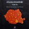 Atlasul Romaniei &ndash; Violette Rey
