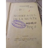 H. Mosnegul de la munte 1904