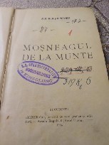 H. Mosnegul de la munte 1904