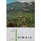 SINAIA-MILTON F. LEHRER-245706