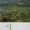 SINAIA-MILTON F. LEHRER-245706