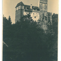 1415 - BRAN, Brasov, Dracula Castle, Romania - old postcard, real Photo - unused