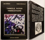 Cumpara ieftin Lidia Birsan TAINICILE PUTERI VINDECATOARE Vasile Stratulat 255pg Barsan Kogaion