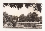 RF168 - Carte Postala - Tecuci. Parcul 7 Noiembrie, circulata 1967