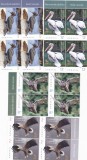 RECORDURILE PASARILOR,in bloc de patru,2018,Lp.2214,MNH ** ROMANIA., Fauna, Nestampilat