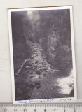 Bnk foto Cheile Galbenei - Izbucul Galbenei - 1965, Alb-Negru, Romania de la 1950, Natura