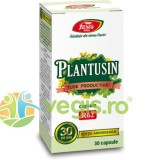Plantusin pentru Tuse Productiva (R62) 30cps