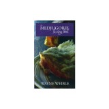 The Medjugorje Fasting Book