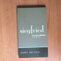 k0d Siegfried. O idila neagra - Harry Mulisch