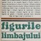 Figurile limbajului - Pierre Fontanier