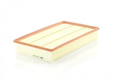Filtru Aer Mann-Filter C38003 foto