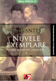 Nuvele exemplare | Miguel De Cervantes, Paralela 45