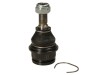Pompa apa OPEL VECTRA B Hatchback (38) (1995 - 2003) RINGER 1141003115