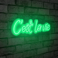 Decoratiune luminoasa LED, C'est La Vie, Benzi flexibile de neon, DC 12 V, Verde