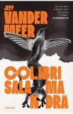 Colibri salamandra - Jeff VanderMeer