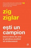 Esti un campion - Zig Ziglar