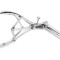 Speculum anal 3 Ways 20cm