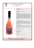 Prosecco D.O.C ROSE BRUT, General