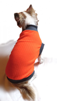 Pulover pentru caini si pisici Petas portocaliu neon, marimi XS,S,M,L,XL foto