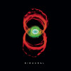 Pearl Jam Binaural digipack (cd), Rock