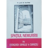 Ion Bria - Spatiul nemuririi sau eternizarea umanului in Dumnezeu (Editia: 1994)