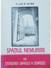 Ion Bria - Spatiul nemuririi sau eternizarea umanului in Dumnezeu (Editia: 1994) foto