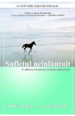 Sufletul neinlantuit - Michael A. Singer