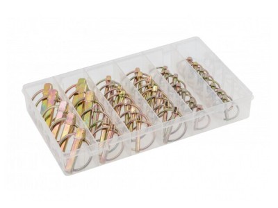 Set 50 Pini pentru Securizare HT8G506 foto