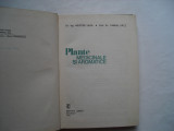 Plante medicinale si aromatice - Aristide Laza, Gabriel Racz, 1975, Alta editura