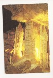 RF87 - Carte Postala - Pestera Ursilor, Chiscau ( Bihor ), necirculata