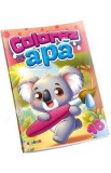 Colorez cu apa 18: Koala