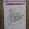 Cantonierul - Cecco Angiolieri