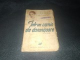 ANISOARA ODEANU - INTR UN CAMIN DE DOMNISOARE