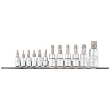 Set biti Torx cu antrenor Topex, 12 piese, 1/4 inch, 3/8 inch, 1/2 inch