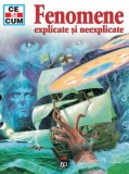 Cumpara ieftin Fenomene Explicate si Neexplicate - Rainer Kothe - Carte