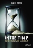 &Icirc;ntre timp - Paperback brosat - Daniel Barbu - Litera