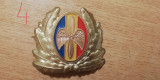 M3 C16 - Emblema militara - anii 1990 - Aviatie