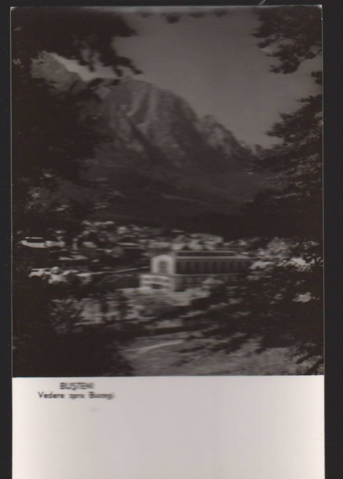 CPIB 22556 - CARTE POSTAL - BUSTENI, VEDERE SPRE BUCEGI, RPR, NECIRCULATA