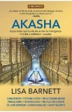 Akasha - Lisa Barnett